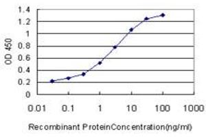 Detection limit for recombinant GST tagged PCNA is approximately 0. (PCNA antibody  (AA 1-261))