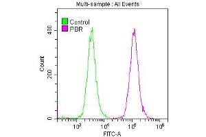 Overlay histogram showing HepG2 cells stained with ABIN7127858 (red line) at 1:50. (Recombinant TSPO antibody)