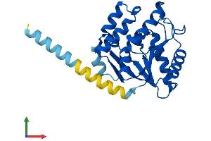 Protein Structure (PS) image for Phosphatidylinositol Glycan L (PIGL) (AA 1-252) protein (His tag) (ABIN7550776)