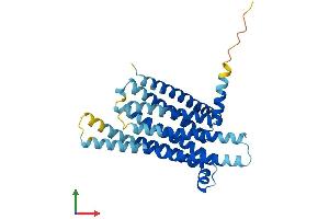 Protein Structure (PS) image for Taste Receptor, Type 2, Member 3 (TAS2R3) (AA 1-316) protein (His tag) (ABIN7544223)
