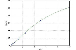 Cannabinoid Receptor 1 (CNR1) ELISA Kit