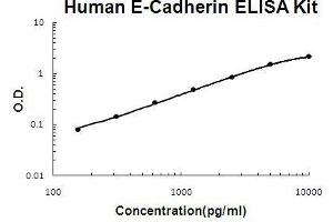 Human E-Cadherin PicoKine ELISA Kit standard curve (E-cadherin ELISA Kit)