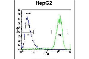Flow cytometric analysis of HepG2 cells (right histogram) compared to a negative control cell (left histogram). (ATP5H antibody  (AA 68-97))