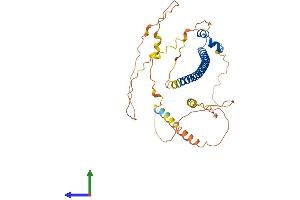 AlphaFold protein structure predicition of Mouse Recombinant Maf Protein, UniprotID P54843 (MAF Protein (AA 1-370) (His tag))