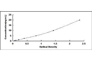 Typical standard curve (LOXL3 ELISA Kit)