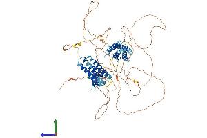 AlphaFold protein structure predicition of Human Recombinant CASS4 Protein, UniprotID Q9NQ75