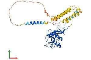 AlphaFold protein structure predicition of Mouse Recombinant Cd209b Protein, UniprotID Q8CJ91 (CD209b Antigen (CD209B) (AA 1-325) protein (His tag))