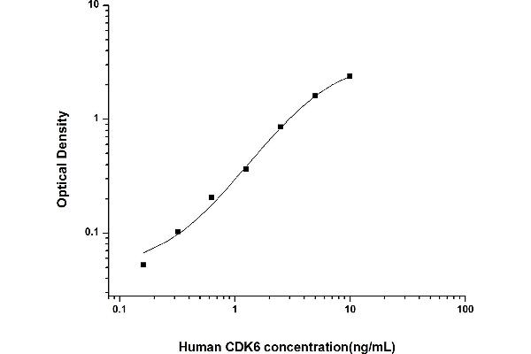 CDK6 ELISA Kit