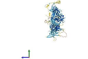 AlphaFold protein structure predicition of Mouse Recombinant Csde1 Protein, UniprotID Q91W50 (CDSE1 Protein (AA 1-798) (His tag))