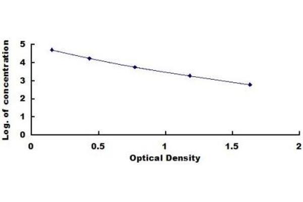 D-Dimer ELISA Kit