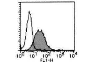 Flow Cytometry (FACS) image for anti-Poliovirus Receptor-Related 2 (Herpesvirus Entry Mediator B) (PVRL2) antibody (FITC) (ABIN2853602) (PVRL2 antibody  (FITC))