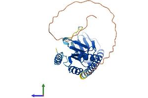 Protein Structure (PS) image for tRNA-YW Synthesizing Protein 3 Homolog (TYW3) (AA 1-259) protein (His tag) (ABIN7544974)