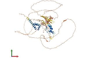 AlphaFold protein structure predicition of Mouse Recombinant Rnf6 Protein, UniprotID Q9DBU5 (RNF6 Protein (AA 1-667) (His tag))