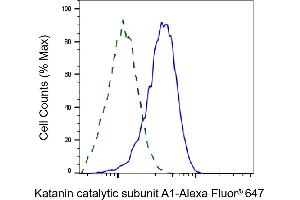 Validation of Katanin catalytic subunit A1 knockdown using flow cytometry. (Recombinant KATNA1 antibody)