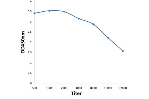 AGGF1 antibody  (AA 461-560)