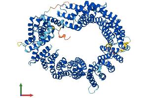 AlphaFold protein structure predicition of Mouse Recombinant Ipo13 Protein, UniprotID Q8K0C1 (IPO13 Protein (AA 1-963) (His tag))