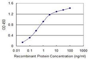 Detection limit for recombinant GST tagged MCM8 is 0. (MCM8 antibody  (AA 646-735))