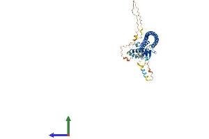 Protein Structure (PS) image for ATG14 Autophagy Related 14 (ATG14) (AA 1-492) protein (His tag) (ABIN7552511)
