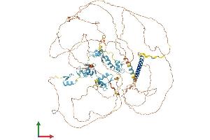 AlphaFold protein structure predicition of Mouse Recombinant Sall2 Protein, UniprotID Q9QX96