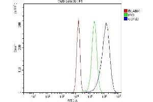 Flow Cytometry analysis of JK cells using anti-CD163 antibody (ABIN7602863). (CD163 antibody  (C-Term))