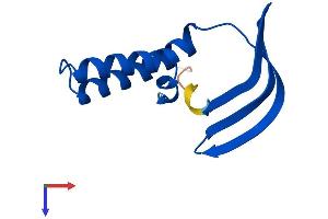 Protein Structure (PS) image for General Transcription Factor IIA, 2, 12kDa (GTF2A2) (AA 1-109) protein (His tag) (ABIN7544131)