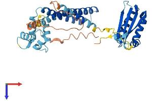 NECAB3 Protein (AA 1-353) (His tag)