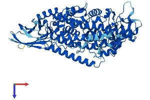 AlphaFold protein structure predicition of Mouse Recombinant Alox12e Protein, UniprotID P55249 (Alox12e Protein (AA 1-662) (His tag))