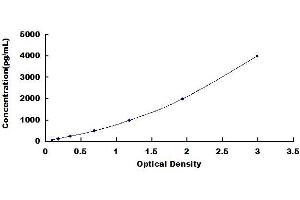 Typical standard curve (PDGFD ELISA Kit)