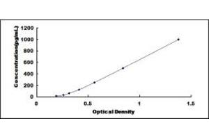 Typical standard curve (FGF6 ELISA Kit)