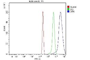 Flow Cytometry analysis of HepG2 cells using anti-OIP5 antibody (ABIN7599121). (OIP5 antibody  (AA 1-229))
