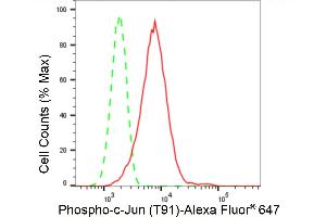 Flow cytometric analysis of Phospho-c-Jun (T91) expression in C2C12 cells using Phospho-c-Jun (T91) antibody (ABIN7799146), 1:2,000). (Recombinant C-JUN antibody  (pThr91))