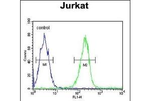 DTX1 Antibody (Center) (ABIN652869 and ABIN2842564) flow cytometric analysis of Jurkat cells (right histogram) compared to a negative control cell (left histogram). (Deltex Homolog 1 antibody  (AA 382-410))