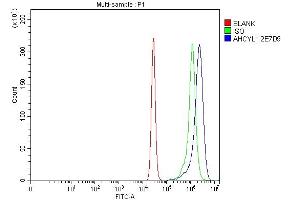 Flow Cytometry analysis of K562 cells using anti-IRBIT/AHCYL1 antibody (ABIN7600029). (AHCYL1 antibody  (AA 14-57))