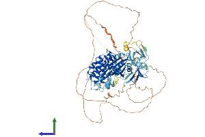 Protein Structure (PS) image for Doublecortin-Like Kinase 1 (DCLK1) (AA 1-756) protein (His tag) (ABIN7561680)
