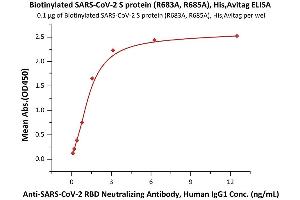 Immobilized Biotinylated SARS-CoV-2 S protein, His,Avitag, Super stable trimer (Cat. (SARS-CoV-2 Spike Protein (Super Stable Trimer) (His tag,AVI tag,Biotin))