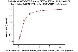Immobilized Biotinylated SARS-CoV-2 S protein, His,Avitag, Super stable trimer (Cat.
