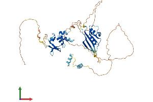 Protein Structure (PS) image for Potassium Channel Tetramerisation Domain Containing 8 (KCTD8) (AA 1-476) protein (His tag) (ABIN7557409)