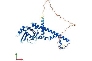 Protein Structure (PS) image for Nonhomologous End-Joining Factor 1 (NHEJ1) (AA 1-299) protein (His tag) (ABIN7549855)