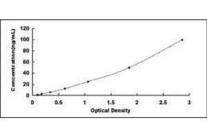 Typical standard curve (MGEA5 ELISA Kit)