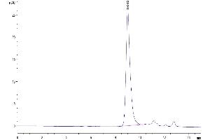 The purity of Human TSLP is greater than 95 % as determined by SEC-HPLC. (Thymic Stromal Lymphopoietin Protein (TSLP) (AA 29-159) (His-Avi Tag))