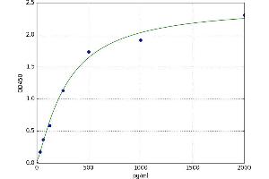 Growth Differentiation Factor 1 (GDF1) ELISA Kit