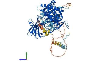 AlphaFold protein structure predicition of Mouse Recombinant Uba2 Protein, UniprotID Q9Z1F9