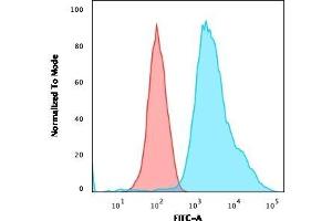 Flow Cytometric Analysis of HeLa cells using Pan-Cytokeratin Mouse Monoclonal Antibody (PCK/3150) followed by goat anti-Mouse IgG-CF488 (Blue); Isotype Control (Red). (KRT antibody)