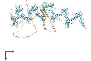 Protein Structure (PS) image for Zinc Finger Protein 814 (ZNF814) (AA 1-855) protein (His tag) (ABIN7545360)