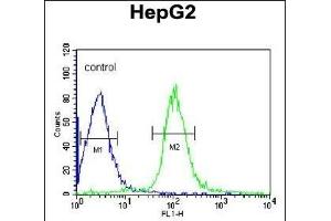 MGST2 Antibody (C-term) (ABIN652824 and ABIN2842536) flow cytometric analysis of HepG2 cells (right histogram) compared to a negative control cell (left histogram). (MGST2 antibody  (C-Term))