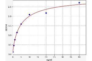 CYP27B1 ELISA Kit