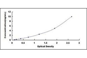 Typical standard curve (Corin ELISA Kit)