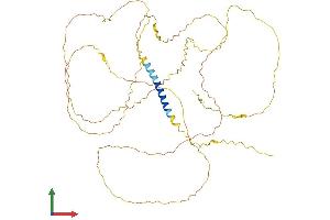 AlphaFold protein structure predicition of Human Recombinant HEMGN Protein, UniprotID Q9BXL5 (HEMGN Protein (AA 1-484) (His tag))