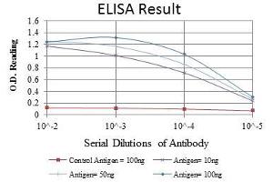 Red: Control Antigen (100 ng), Purple: Antigen (10 ng), Green: Antigen (50 ng), Blue: Antigen (100 ng), (NCOA3 antibody)