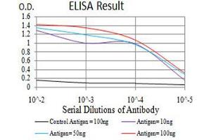 Black line: Control Antigen (100 ng),Purple line: Antigen (10 ng), Blue line: Antigen (50 ng), Red line:Antigen (100 ng) (VEGFA antibody  (AA 207-371))